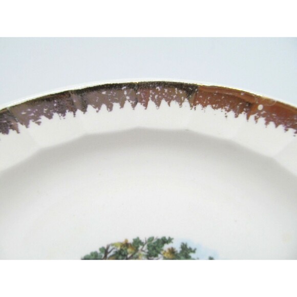 Cronin China Company 9" Vegetable Bowl And A 11 1/4" Oval Platter Read Descr - Picture 5 of 12